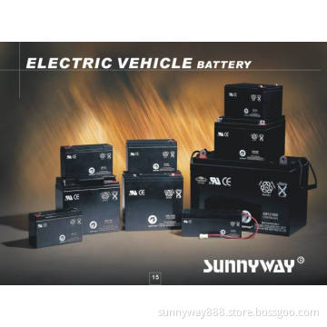 Electric Vehicle Battery (SWE12)